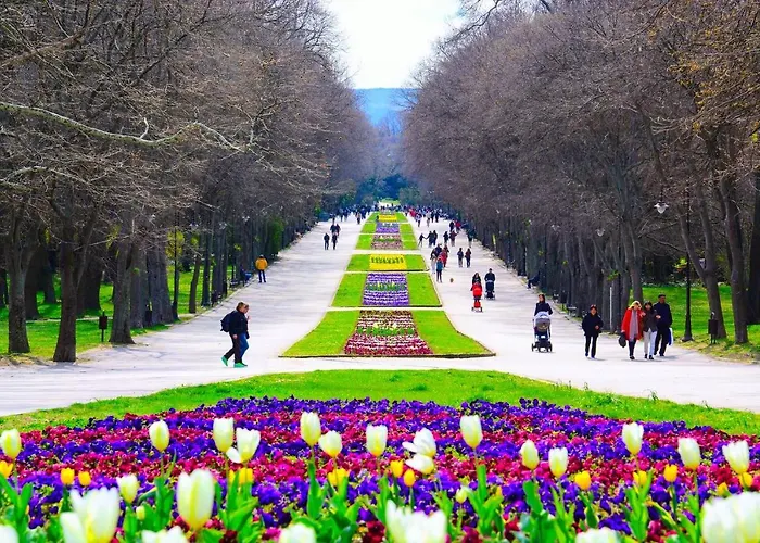 жасмин с частен гараж - Jasmin With Private Garage * Varna